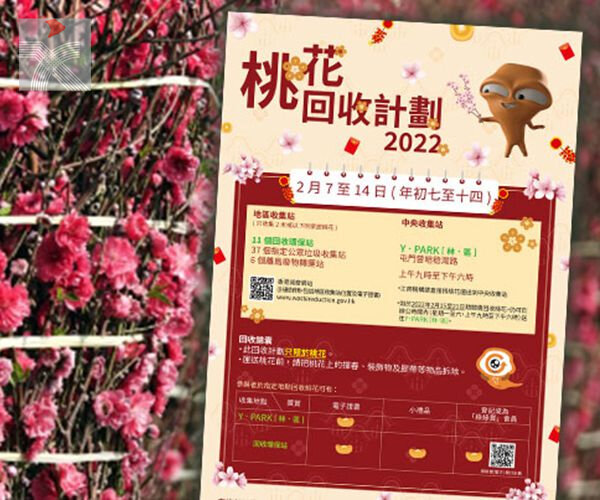  環保署初七起回收桃花 設55個收集點