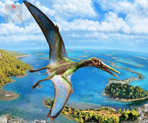 中大研證：翼龍早於1.5億年前已能在水面起飛
