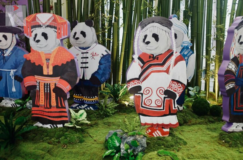  香港藝術家重塑傳統文化形象 創全新民族服熊貓系列
