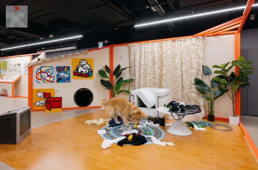  香港首個人與寵物的互動藝術展覽:《生命中的「毛」緣「毛」故》